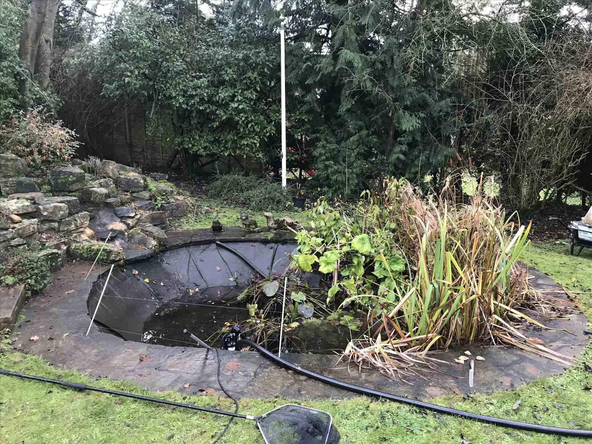 Pond Cleaning