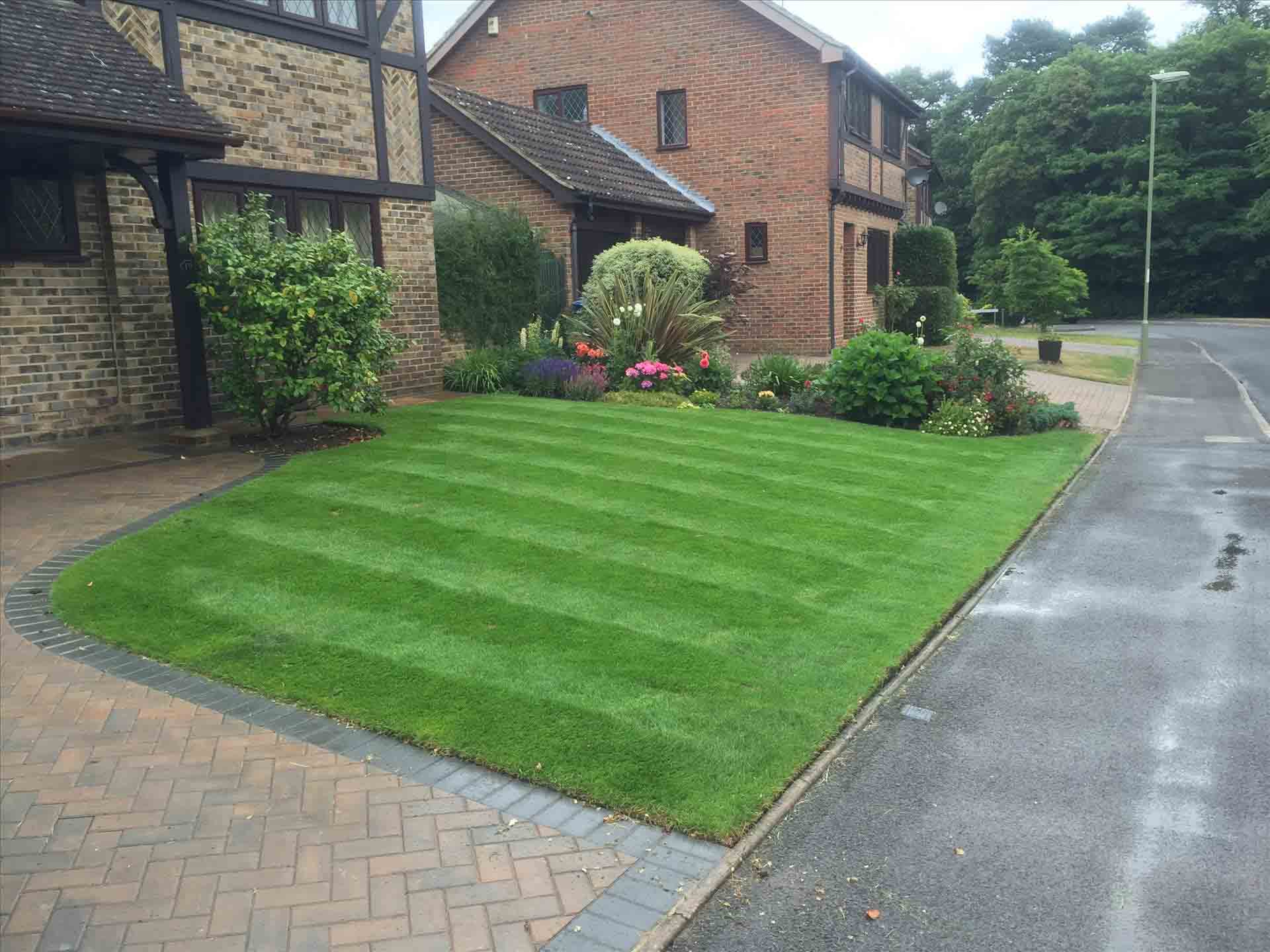 artificial & real lawns